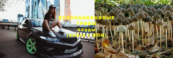 альфа пвп Заволжье