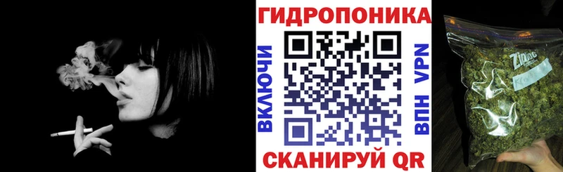 Купить закладки  Западная Двина  МАРИХУАНА план 